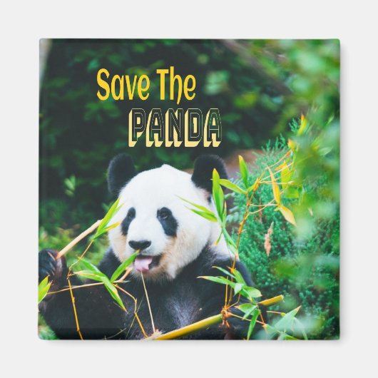 Sparen de Panda Magneet (Voorkant)