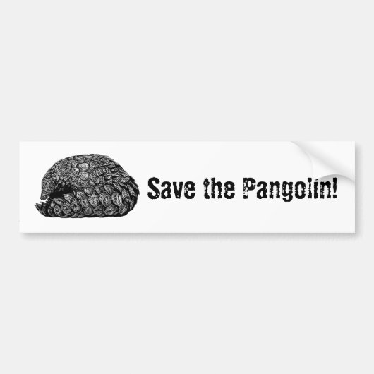 Sparen de Pangolin bumper sticker (Voorkant)