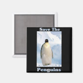 Sparen de Pinguïns Magneet (Voorkant / Achterkant)