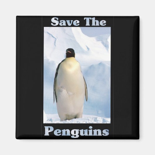 Sparen de Pinguïns Magneet (Voorkant)