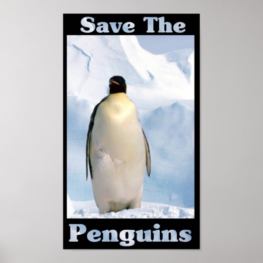 Sparen de Pinguïns Poster (Voorkant)