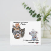 Sparen de Pitbull Briefkaart (Staand voorkant)