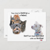 Sparen de Pitbull Briefkaart (Voorkant / Achterkant)