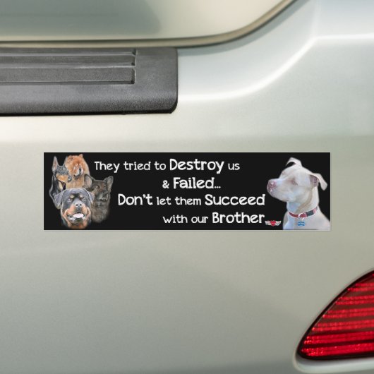 Sparen de Pitbull Bumpersticker (Op auto)