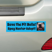 Sparen de Pitbulls! Bumpersticker (Op auto)