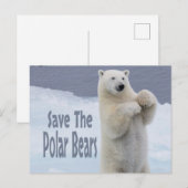 Sparen de Polaire Beren Briefkaart (Voorkant / Achterkant)