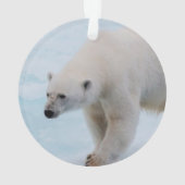 Sparen de Polaire Beren Ornament (achterkant)