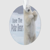 Sparen de Polaire Beren Ornament (voorkant)