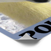 Sparen de Polaire Beren Poster (Hoek)