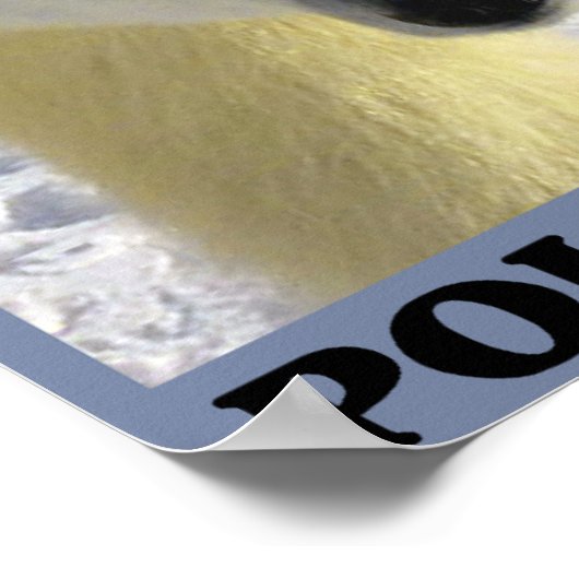 Sparen de Polaire Beren Poster (Hoek)