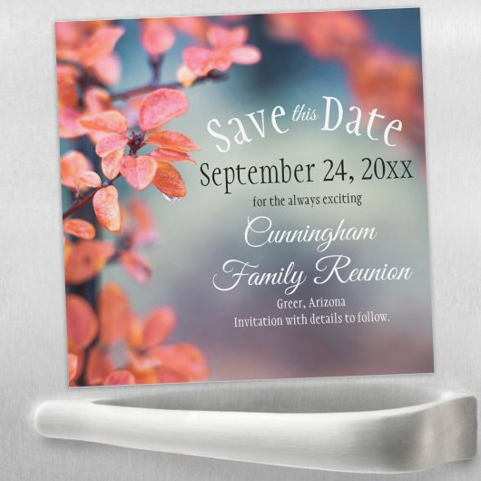 Sparen de Reunion Nahern van de Familie Magnet