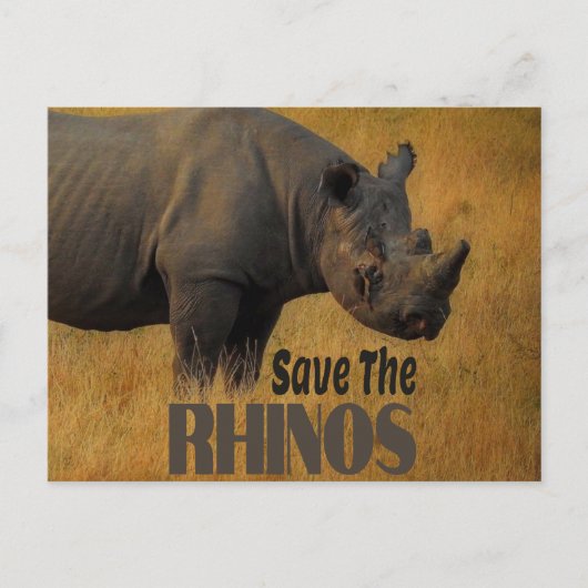 Sparen de Rhinos Briefkaart (Voorkant)