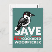 Sparen de Rode-cockpit Woodpecker Briefkaart (Voorkant / Achterkant)