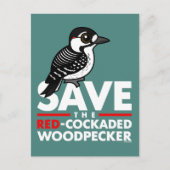 Sparen de Rode-cockpit Woodpecker Briefkaart (Voorkant)