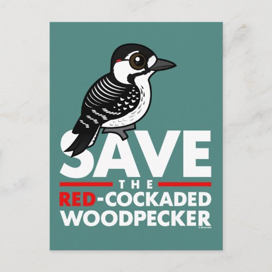 Sparen de Rode-cockpit Woodpecker Briefkaart (Voorkant)