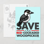 Sparen de Rode-cockpit Woodpecker Briefkaart (Voorkant / Achterkant)