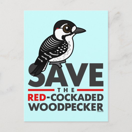 Sparen de Rode-cockpit Woodpecker Briefkaart (Voorkant)