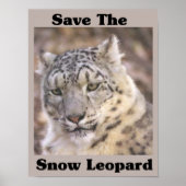 Sparen de sneeuwluipaard poster (Voorkant)