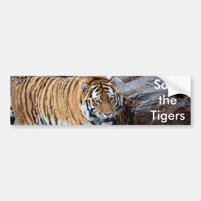 Sparen de Tijgers Bumpersticker (Voorkant)