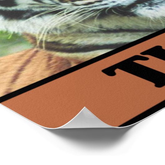 Sparen de Tijgers Poster (Hoek)