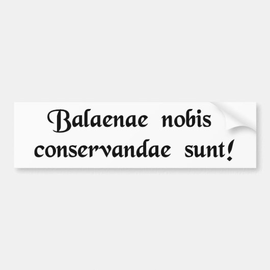 Sparen de walvissen! bumpersticker (Voorkant)