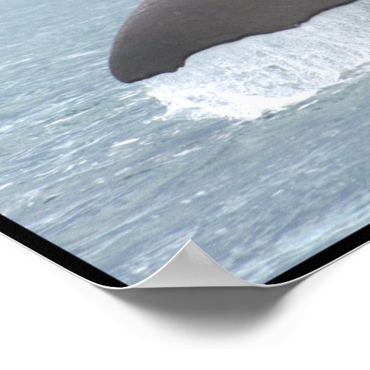 Sparen de Walvissen Poster (Hoek)