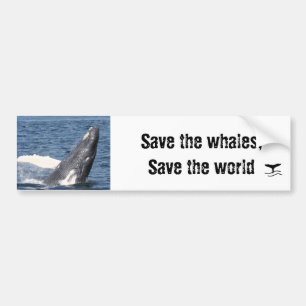 Sparen de walvissen, sparen de wereld bumpersticker