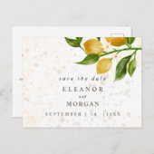 Sparen de waterverf van de Dringende citroenen van Briefkaart (Voorkant / Achterkant)