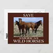 Sparen de Wilde Paarden Briefkaart (Voorkant / Achterkant)