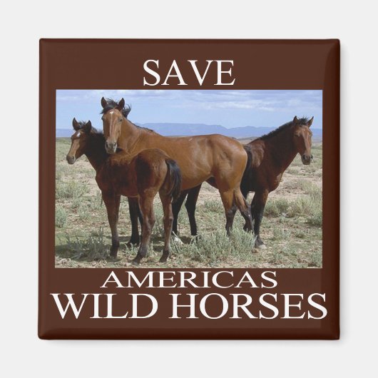 Sparen de Wilde Paarden Magneet (Voorkant)
