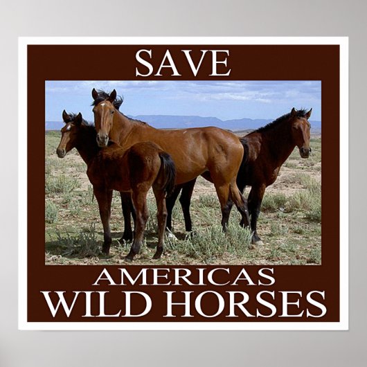Sparen de Wilde Paarden Poster (Voorkant)