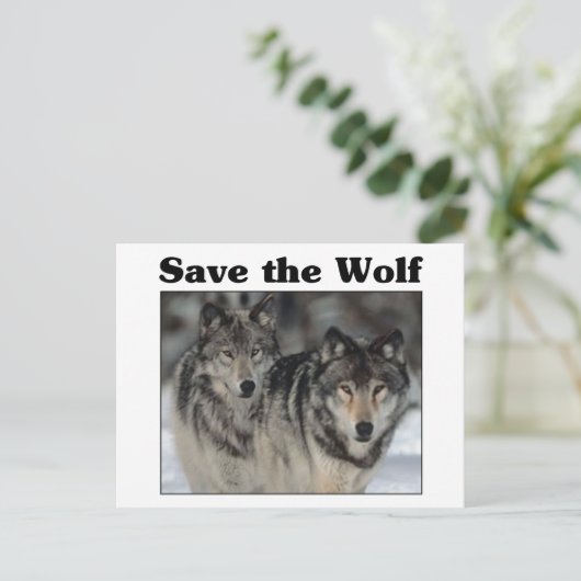 Sparen de Wolf Briefkaart (Staand voorkant)