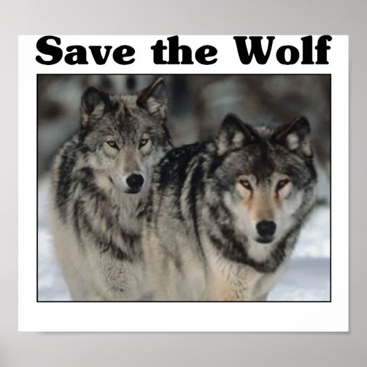 Sparen de Wolf Poster (Voorkant)