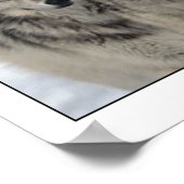 Sparen de Wolf Poster (Hoek)