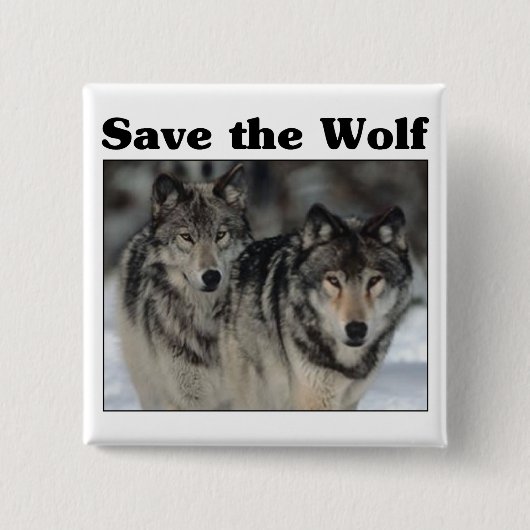 Sparen de Wolf Vierkante Button 5,1 Cm (Voorkant)