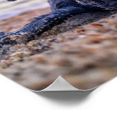 Sparen de Zee Draaien Poster (Hoek)