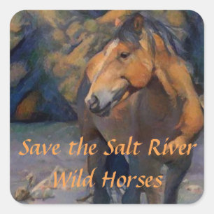 Sparen de Zout River Wilde Paarden Vierkante Sticker