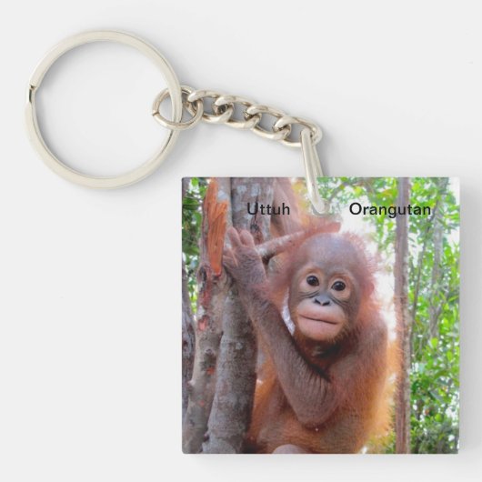 Sparen het Baby Uttuh Sleutelhanger van Orangutans (voorkant)