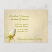 Sparen het Briefkaart van de Datum Enige Witte Roo (Achterkant)