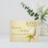 Sparen het Briefkaart van de Datum Enige Witte Roo (Staand voorkant)