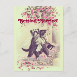 Sparen het Briefkaart van de Dwingende Katten van