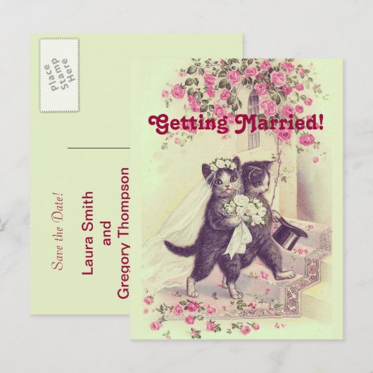 Sparen het Briefkaart van de Dwingende Katten van (Voorkant / Achterkant)