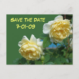 Sparen het Briefkaart van de Foto van de Foto van