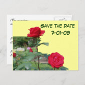 Sparen het Briefkaart van de Foto van de Foto van  (Voorkant / Achterkant)