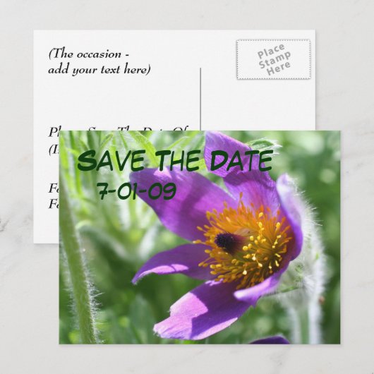 Sparen het Briefkaart van de Foto van de Pasque va (Voorkant / Achterkant)