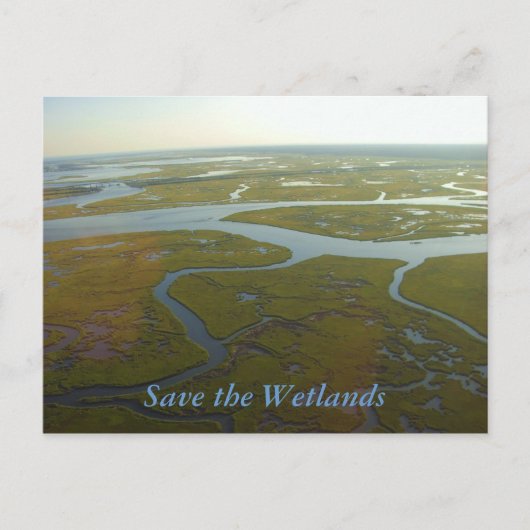 Sparen het Briefkaart Wetlands (Voorkant)