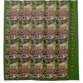 Sparen het Gordijn van de Schotelvertoning Butterf