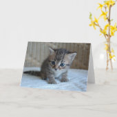 Sparen het leven, keur een wenskaart van de kaart (Gele Bloem)