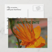 Sparen het Oranje Briefkaart van de Fotografie van (Voorkant / Achterkant)