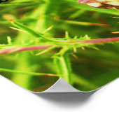 Sparen het Poster van Bijen (Hoek)